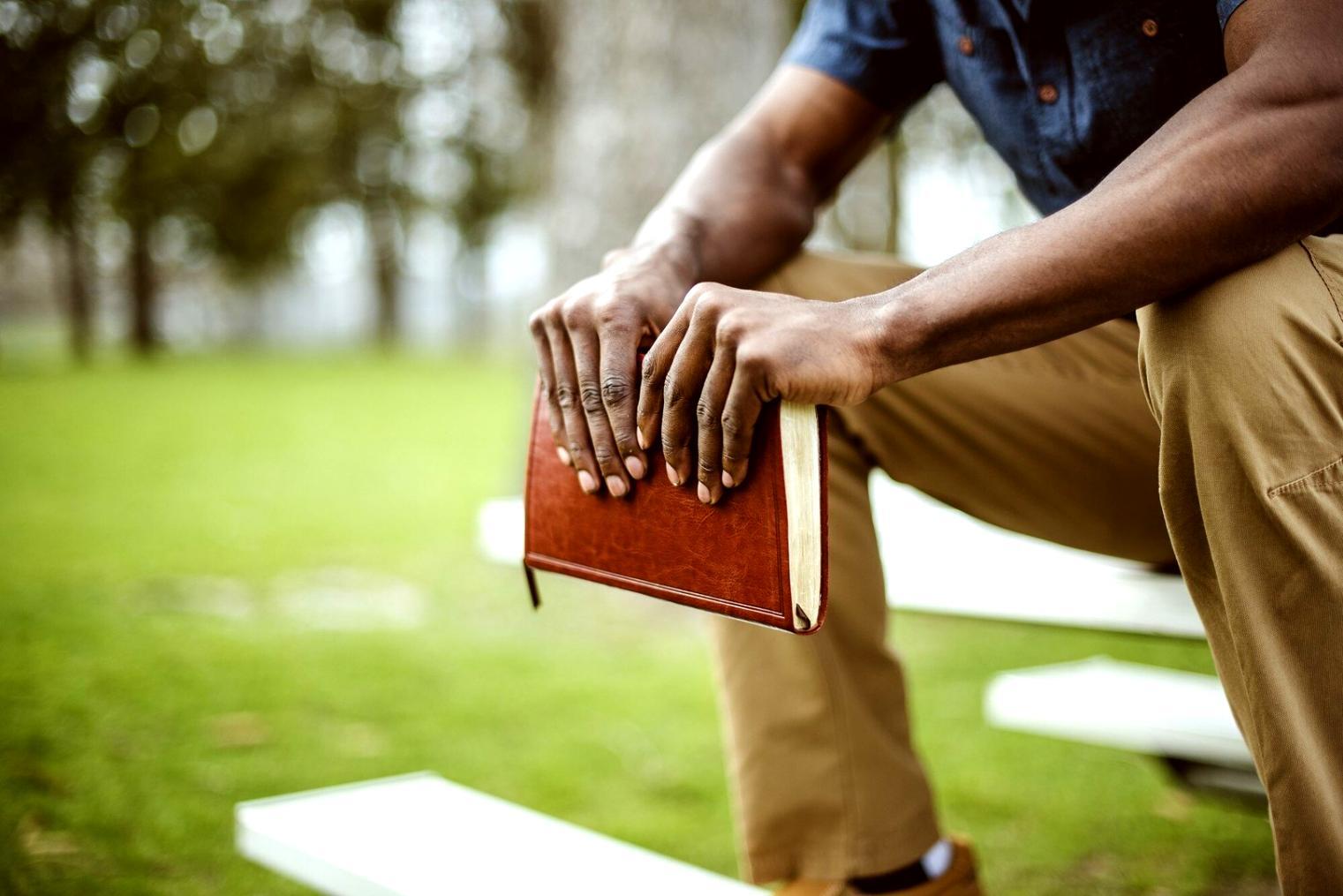 Budget monitoring tools and expense tracking systems